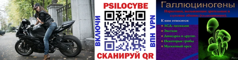 Галлюциногенные грибы Cubensis  Купить  Алзамай 