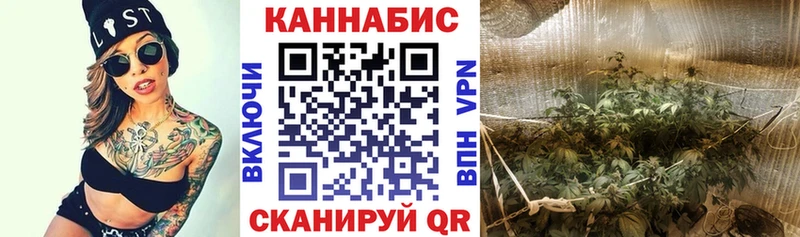 Купить  Алзамай  Шишки марихуана тримм 
